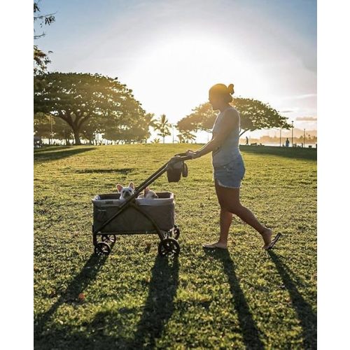 Baby Trend Expedition 2-in-1 Stroller Wagon PLUS, Ultra Grey