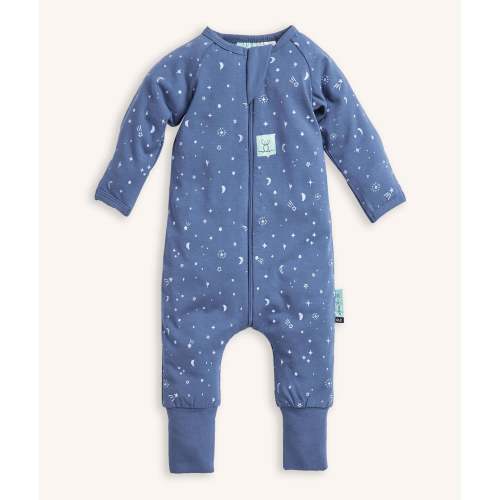 Sleep Suit Sack 2.5 TOG Dragonflies