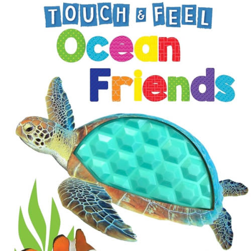 Ocean Friends - Touch and Feel Board Book - Sensory Board Book