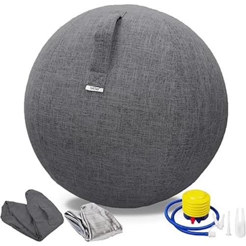 Exercise Ball Chair with Fabric Cover, Standard Size (25inches/65cm), for Home Offices, Balance Training, Yoga Ball