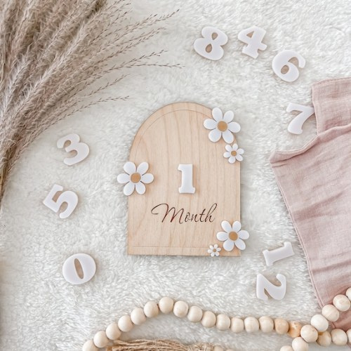 Wooden Daisy Flower Arched Milestone Cards Custom Name Set Monthly Milestone Markers Boho Interchangeable Milestone Card, Photo Prop - Etsy