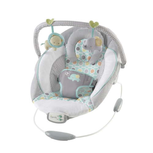 Ingenuity Morrison Soothing Baby Bouncer with Comfort Vibration & Music (Unisex)