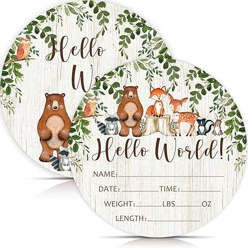 Birth Stat Sign for Newborn, Woodland Animals Baby Announcement, Forest Hello World Name Sign for Hospital Birth Announcement, Gift for New Mom, Baby Shower, Pregnancy Announcement, Photography Prop