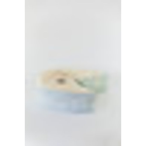 Organic Nesting Pillow / Carolina - Blessed Nest