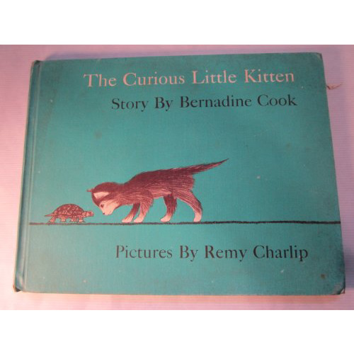 The Curious Little Kitten