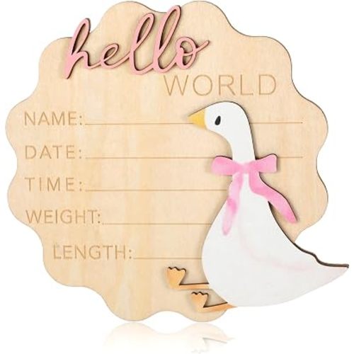 Baby Announcement Sign, Pink Bow Silly Goose Hello World Newborn Sign
