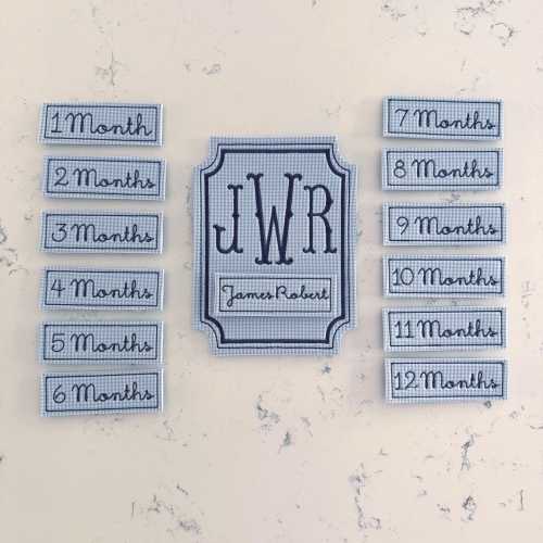 Blue Gingham Embroidered Baby Milestone Cards, Monogram Milestone Cards, Baby Shower Gift, Baby Nursery Decor