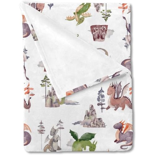 HawSkgFub Watercolor Dragons Animal Baby Blanket Boys Gift, Fairy Tale Nursery Daycare Bed Flannel Fleece Swaddle Receiving Blankets, Soft Lightweight Newborn Toddler Infant Kids Crib Bedding 30 x 40