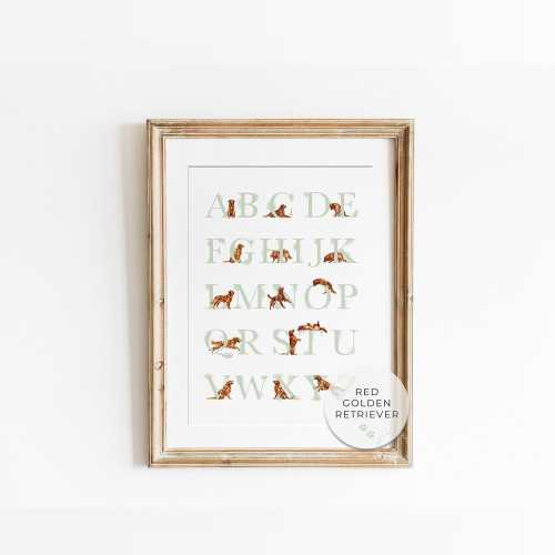 RED GOLDEN RETRIEVER alphabet poster. Sage Green Puppy abc poster. Golden Retriever Dog alphabet print. Educational Puppy Nursery Decor
