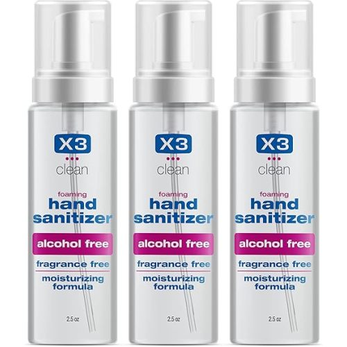 Foaming Hand Sanitizer, Alcohol Free and Fragrance Free, Kills 99.9% Germs, Moisturizing Formula, Travel Size 2.5 oz (3 Pack)