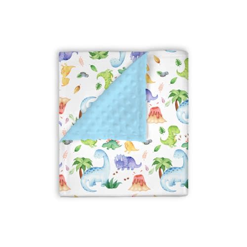 EyMzcod Mink Baby Boys Blankets Blue Cute Dinosaurs, Tropical Dino Lover Soft Double Layer Dotted Backing Receiving Swaddle, Newborn Infant Toddler Nursery Crib Bedding Shower Gift 30" x 40"