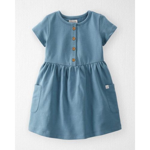 Toddler Organic Cotton Pocket Dress in Cottage Blue - Little Planet | Carter's