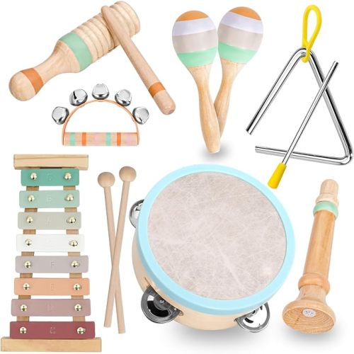 Raimy Musical Instruments Set