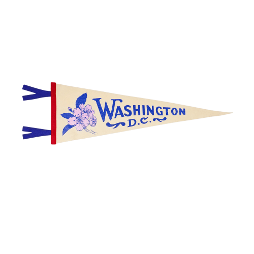 Washington D.C. Pennant | Oxford Pennant