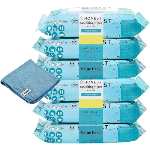 6 Honest' Bulk Pack-Wipes Made With Aloe | Unscented, 300 Count (6 Packs of 50)
