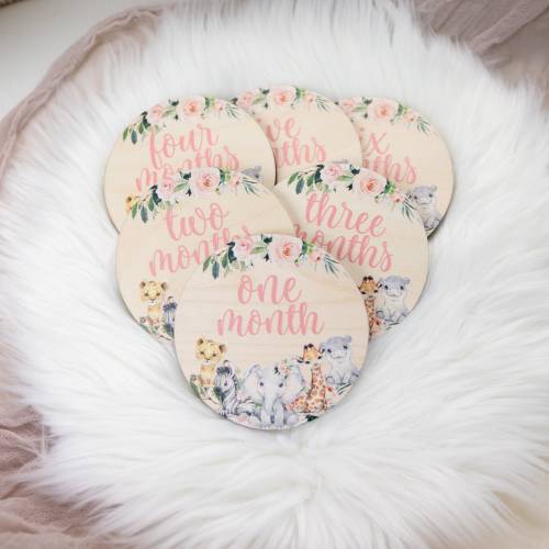 Safari Milestone Cards, Baby Milestone Safari Discs Marker, Wood Milestone Card, Baby Milestones, Photo Prop, Safari Jungle Nursery Theme S2