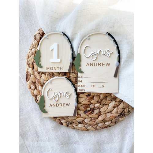 Fishing baby monthly milestone set Birth Announcement name Sign Hunting Birth Stat Sign personalized Newborn Announcement set newborn photo