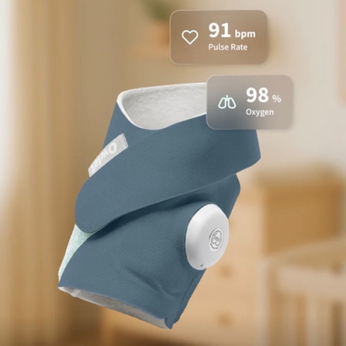 Dream Sock® – Owlet US