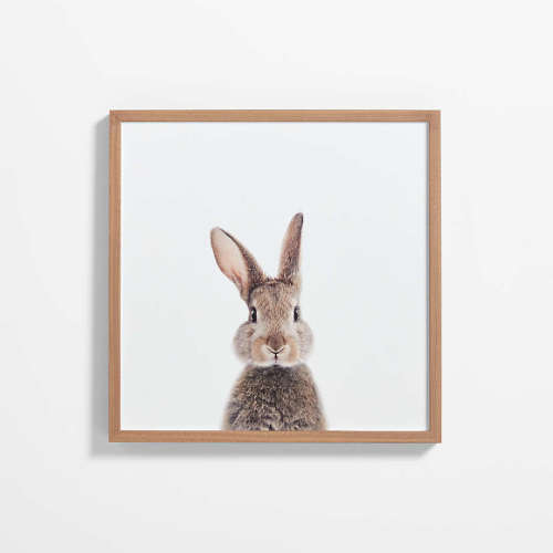 Baby Bunny Walnut Wood Framed Wall Art Print