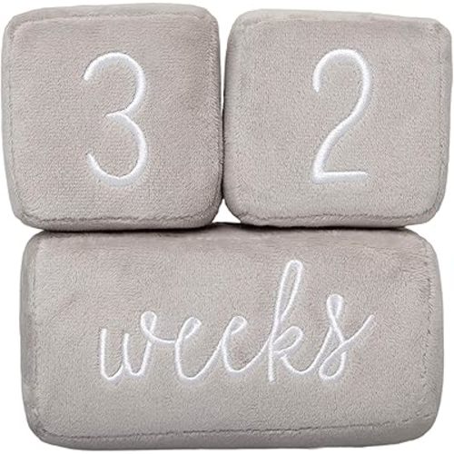 Pearhead Baby Plush Photo Sharing Milestone Age Blocks, Picture Prop, Set of 3 Blocks, Gray