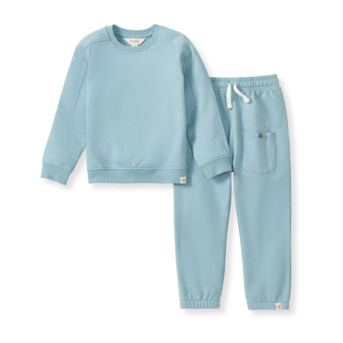 Seamed Organic Blue Sweatshirt & Pants Set – Burt's Bees Baby
