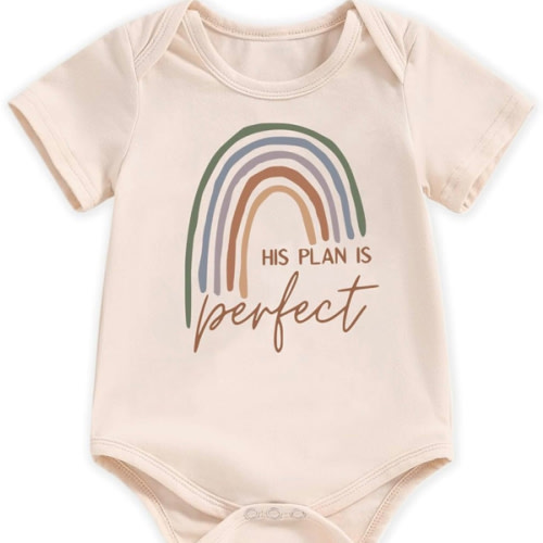 “his plan is perfect” rainbow baby onesie
