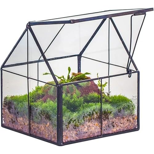 NCYP Mini Glass Geometric Plant Terrarium with Lid - 10.8 x 10.8 x 12.5 cm - Black Close Planter Pot for Small Succulents Air Plants - Handmade, Home Garden Office Tabletop Decor (Terrarium Only)