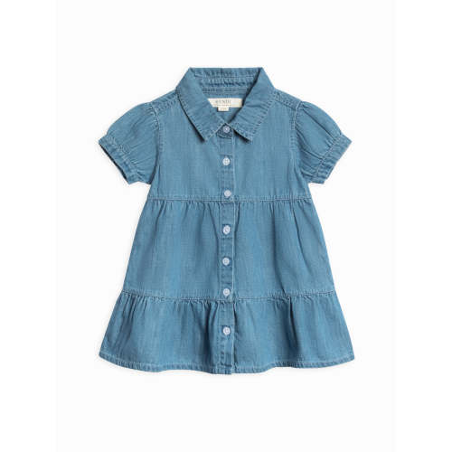 Pippa Chambray Short Sleeve Shirt Dress