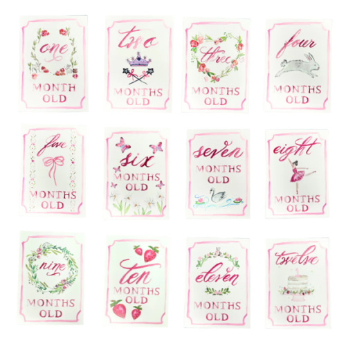 Monthly Milestone Card Set - Pink | Danrie