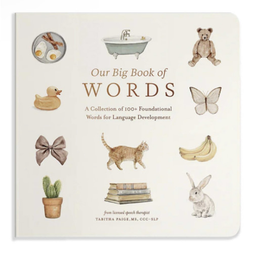 Our Big Book of First Words: A Collection of 100+ Foundational Words for Language Development (Our Little Adventures Series)