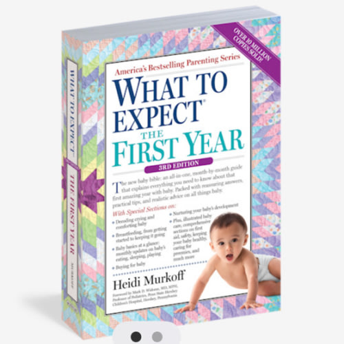 What to Expect the First Year (Updated in 2024)