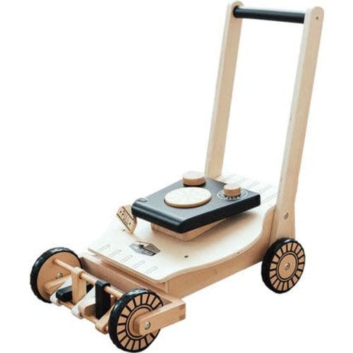 Lawn Enforcer Push Toy