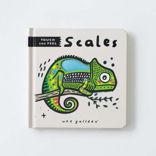 Wee Gallery Touch and Feel: Scales