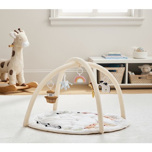 Noah's Ark Activity Gym