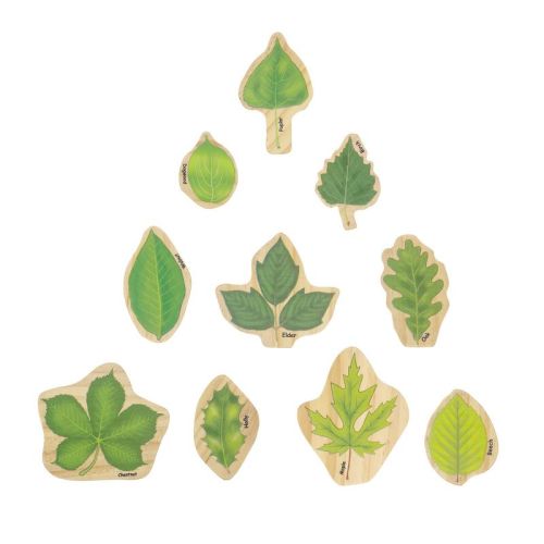 The Freckled Frog Stacking Leaves