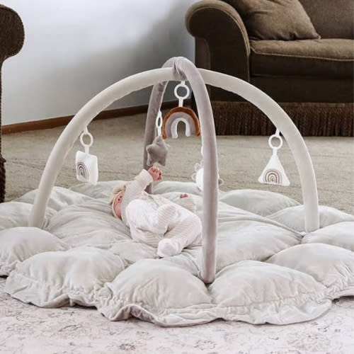 5-in-1 Thick & Plush Baby Play Gym, Baby Play Mats for Floor, Tummy Time Mat with 6 Toys, Cat Bed, Dog Bed, Convertible Stage-Based Developmental from Baby to Toddler, Ball Pit, Pet Cushion Cloudico
