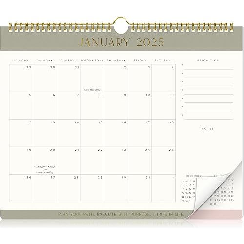 Aesthetic 2025-2026 Wall Calendar - Runs from January 2025 Until July 2026 - The Perfect Wall Hanging Calendar Planner for Easy Organizing