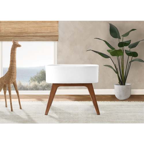 Aero Bassinet