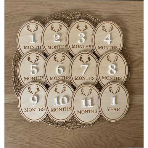 Deer Theme Baby Monthly Milestone Cards, Newborn Photo Prop, hunting nursery decor
