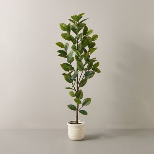 72" Faux Potted Rubber Tree - Hearth & Hand™ With Magnolia