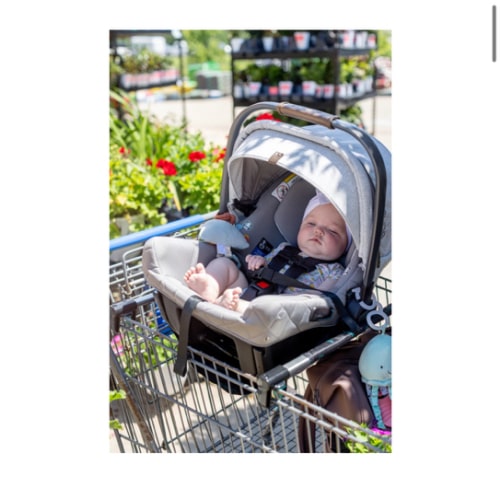 Totes Babies Car Seat Carrier