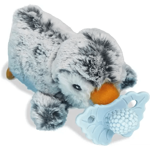 Penguin RaZbuddy Teething Relief Pacifier