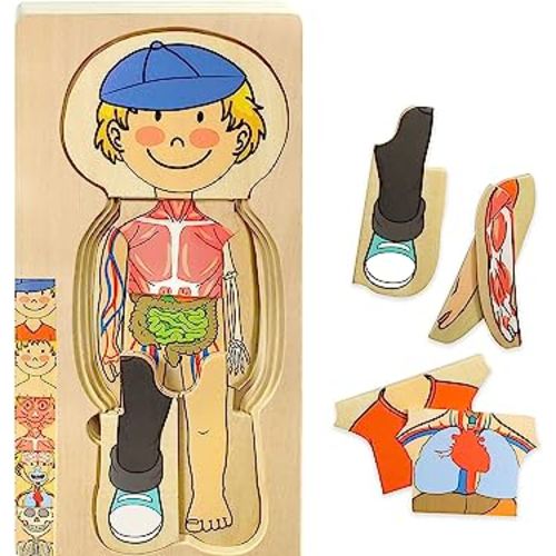 Kidzlane Boy Wooden My Body Puzzle for Toddlers & Kids - 29 Piece Boys Anatomy Puzzle Kid Play Set - Anatomy for Kids, Skeleton Toys for Kids Ages 3 Plus