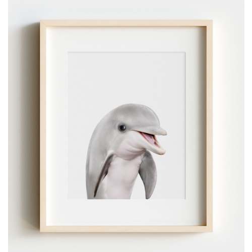 Baby Dolphin 8x10