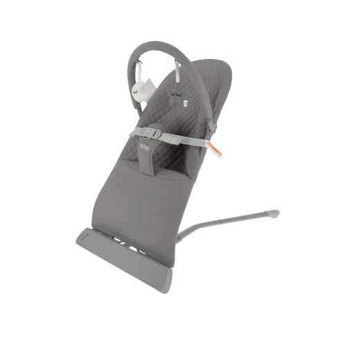 Nuby Baby Bouncer Seat - Portable Infant Bouncer with Music, Fun Sounds, and Soothing Vibrations - 0-6 Months - Gray