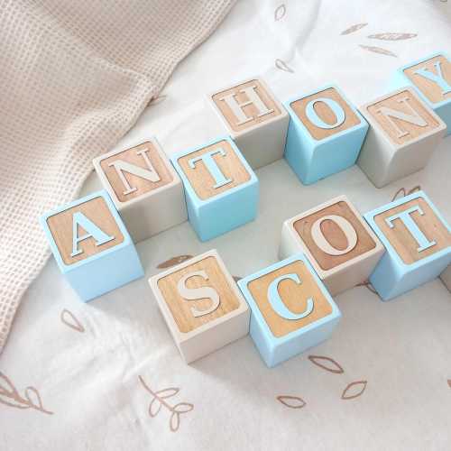 Baby Nursery Bookshelf Decor | Personalized Wooden Baby Name Blocks | Baby Photo Prop | Baby Shower Gift | Wooden Letter Blocks
