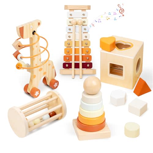 Smartwo Wooden Montessori Toys Set for Toddlers,Wooden Toy Set for Babies Educational Object Permanence Box,Xylophone(Glockenspiel),Stacking,Rattle Birthday Gift for Boys Girls Ages 1 2 3 4 5