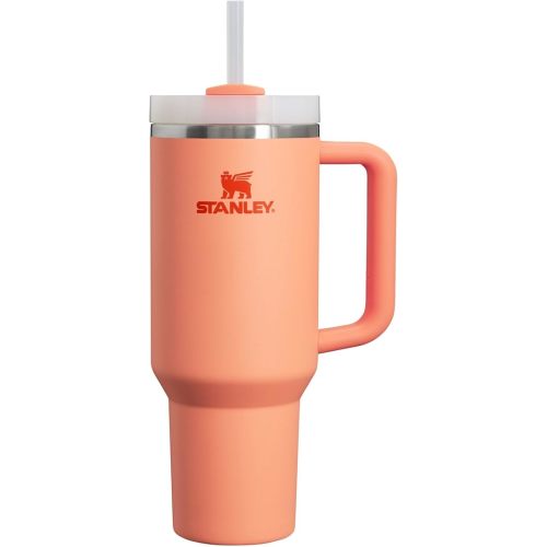 Stanley Quencher H2.0 for Postpartum [Color: Nectarine, 40oz]