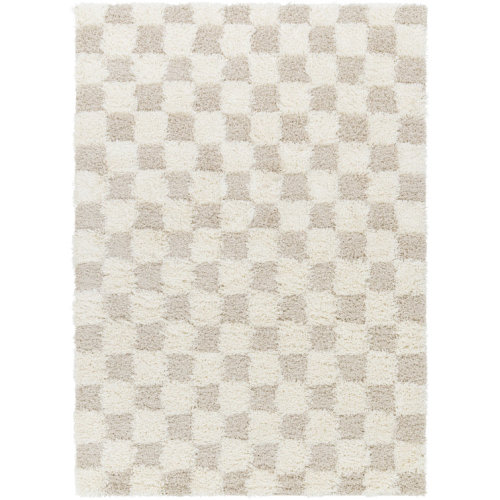 Rafe Checkered Polypropylene Area Rug in Beige