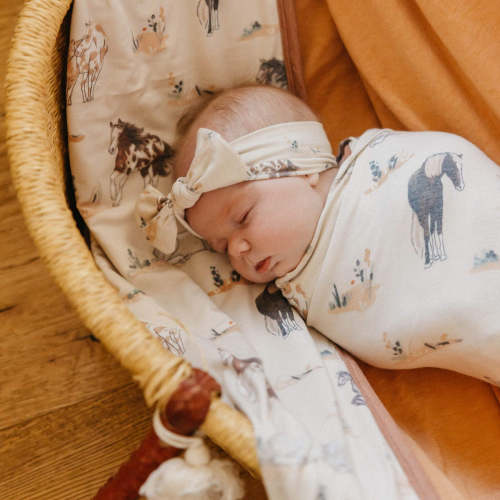 Knit Headband Bow - Montana